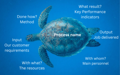 ISO 9001: The case study
