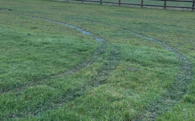 Enhanced Site Security Preventing Damage for Client